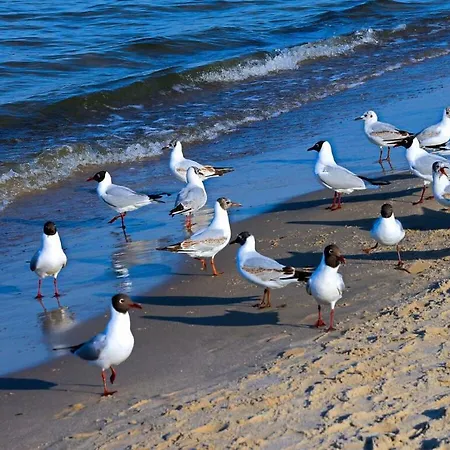 펜션 Clouds Comfortable *