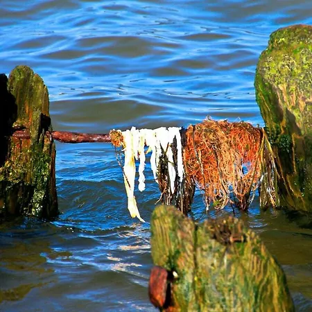 Clouds Comfortable 펜션 *